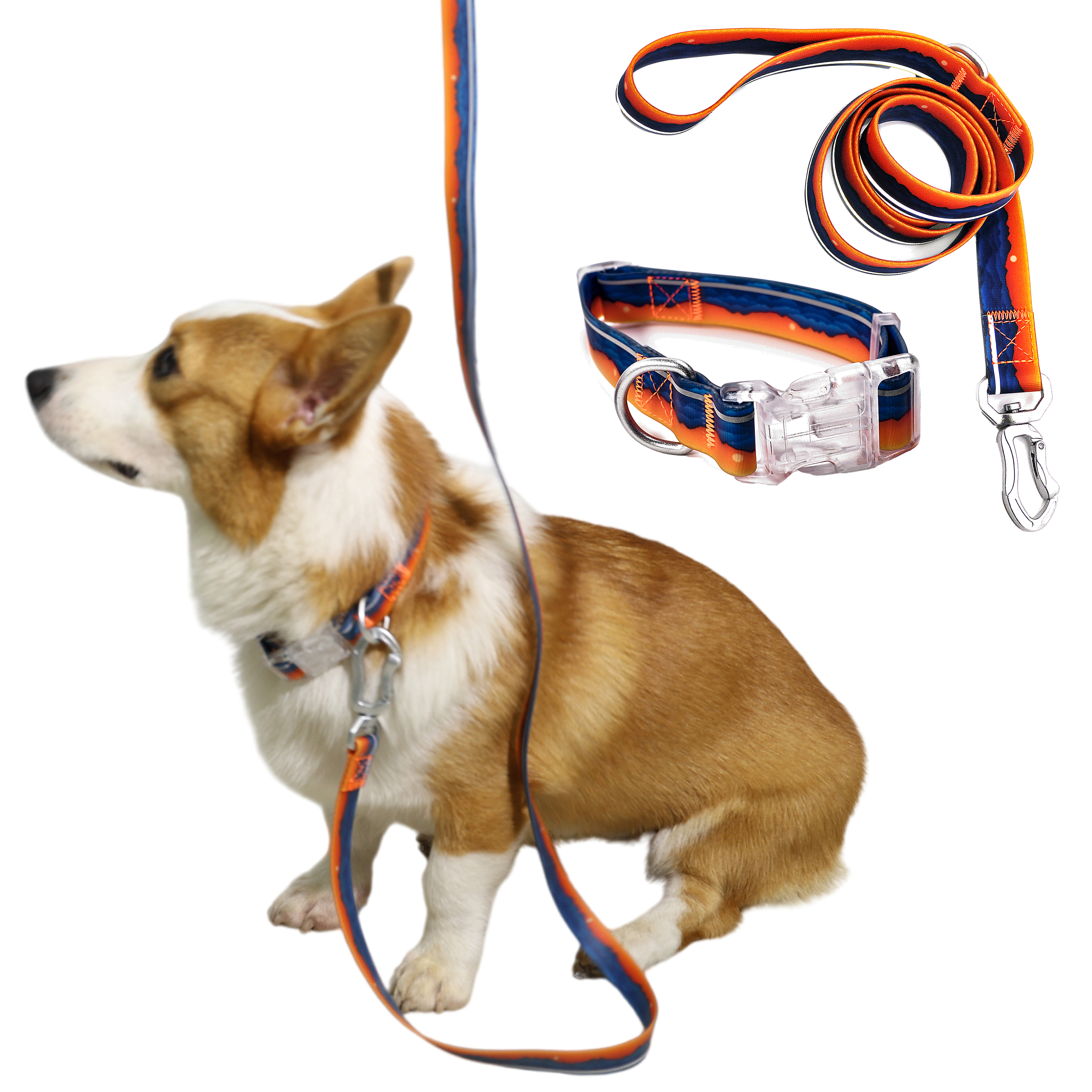 ( M ) Reflective Patterned Leash Set Sunset