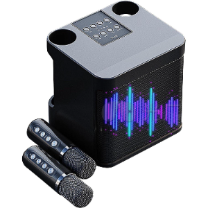 Wireless Bluetooth Karaoke Home Echo System Singing Machine Dual Mic Speaker AU
