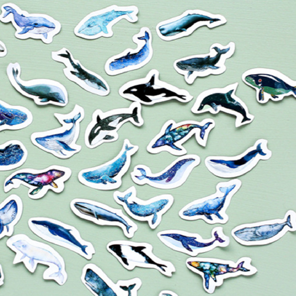 Box-packed Stickers Whale Tent Sticker Decorative Sealing Stickers