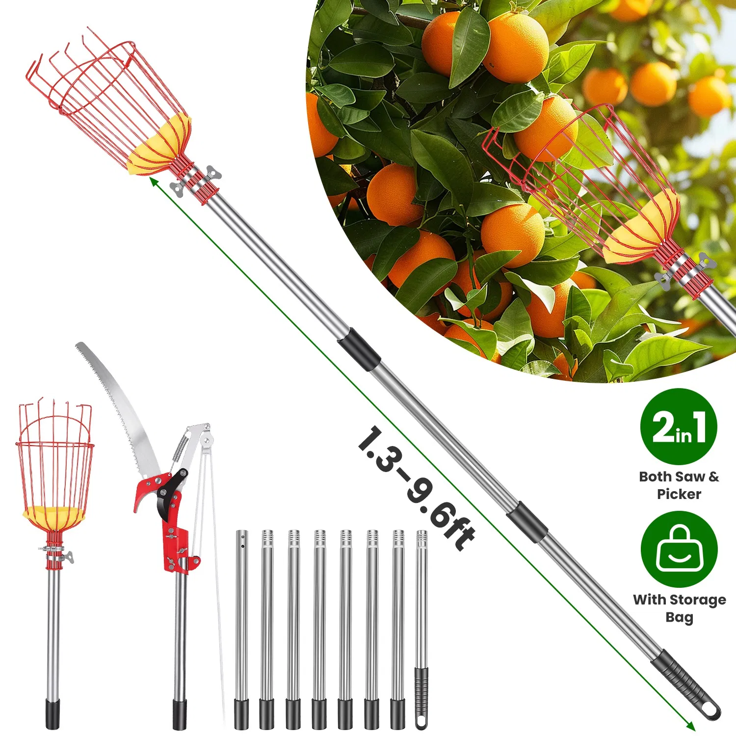 2-in-1 Pole Saw & Fruit Picker with Extendable Stainless Steel Pole