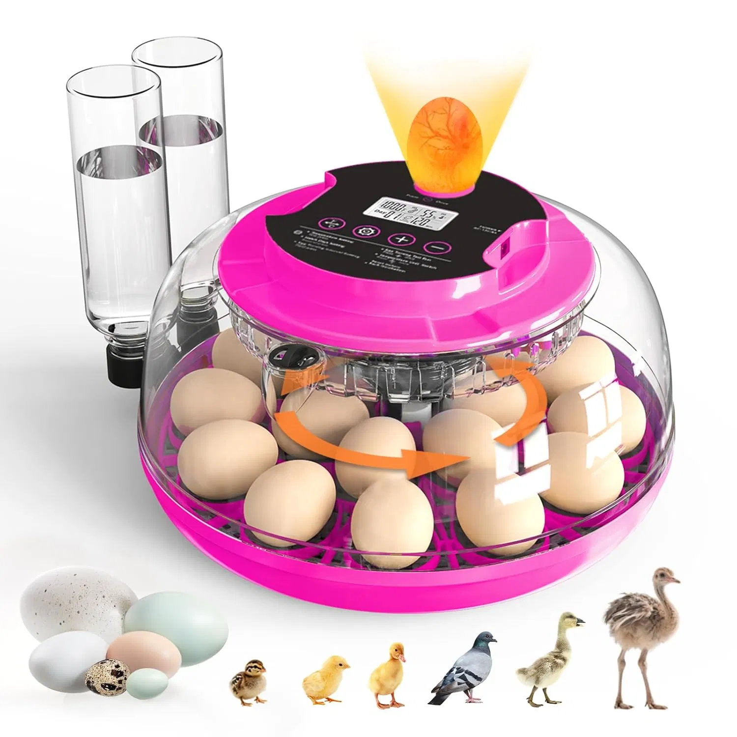 Incubator for Hatching Eggs, 18 Eggs Capacity, Incubators with Egg Candler, Automatic Egg…