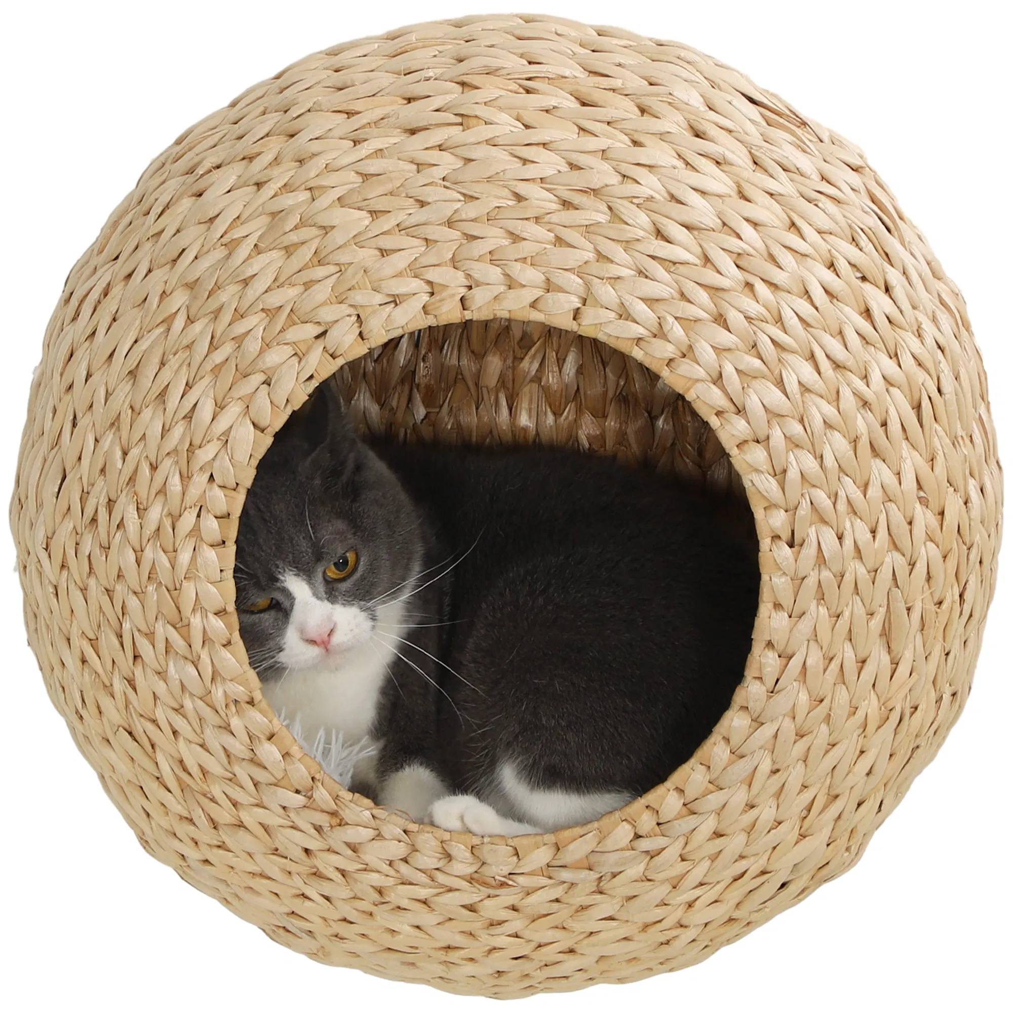 Cat Wall Shelf with Washable Cushion, Wall Mounted Cat Condo Furniture for Indoor…