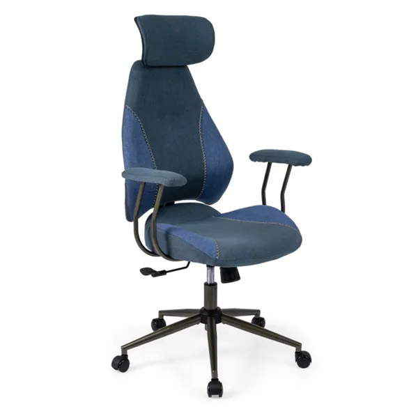 Blue Color Blocking Office Chair with 2D Adjustable Headrest, Ergonomic High-Back Desk…