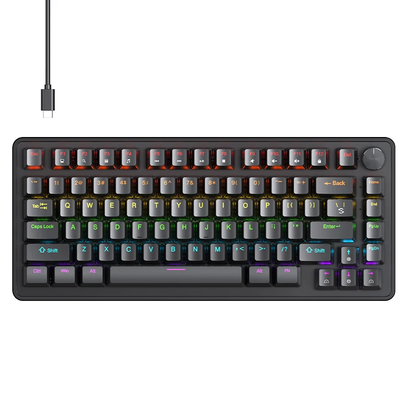 APAYADO K82 75% Wired Mechanical Keyboard 82 Keys RGB Hot Swappable Multifunction Knob…