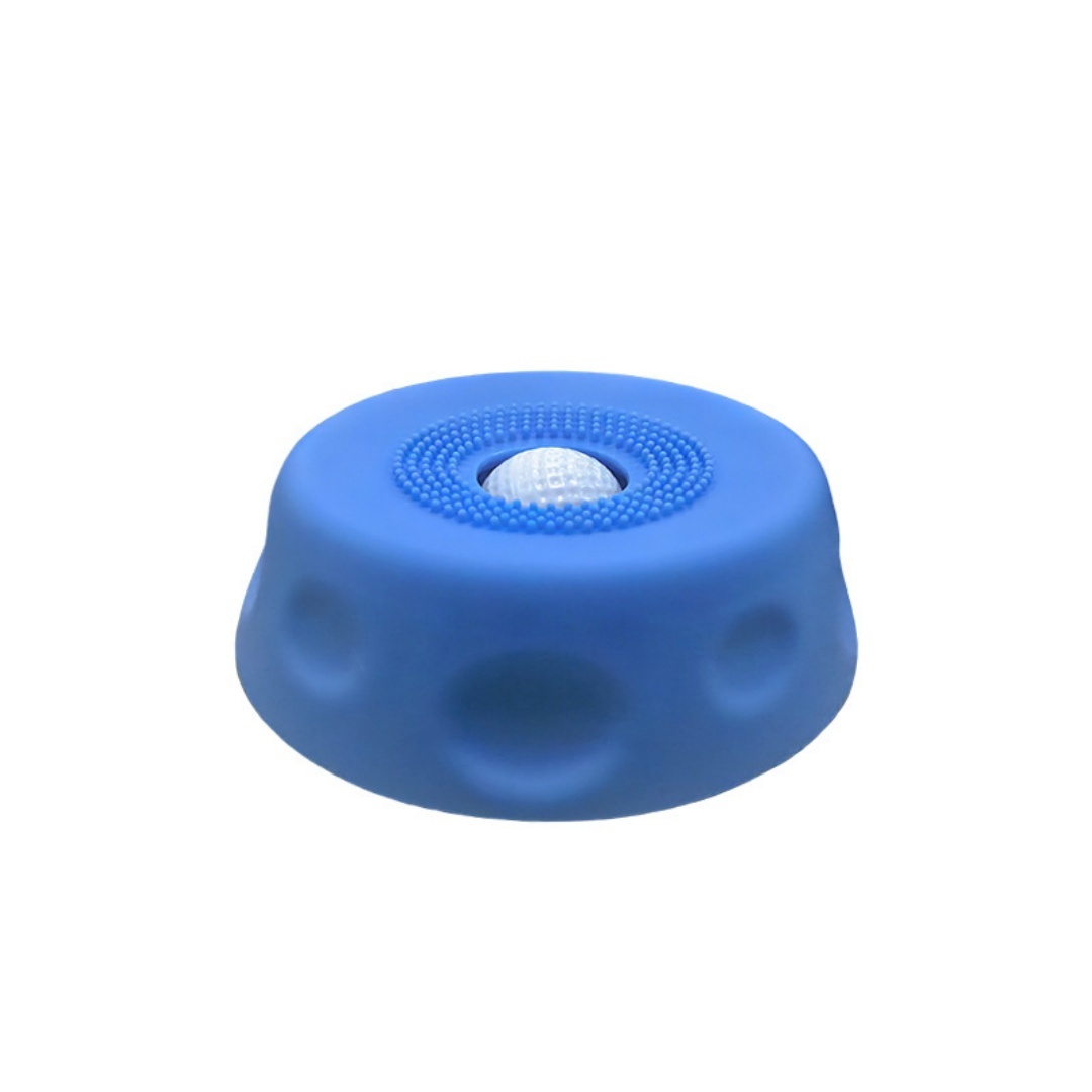 Slow Feeder Licking Bowl, Anti-Overflow Slow Eating Pet Dish