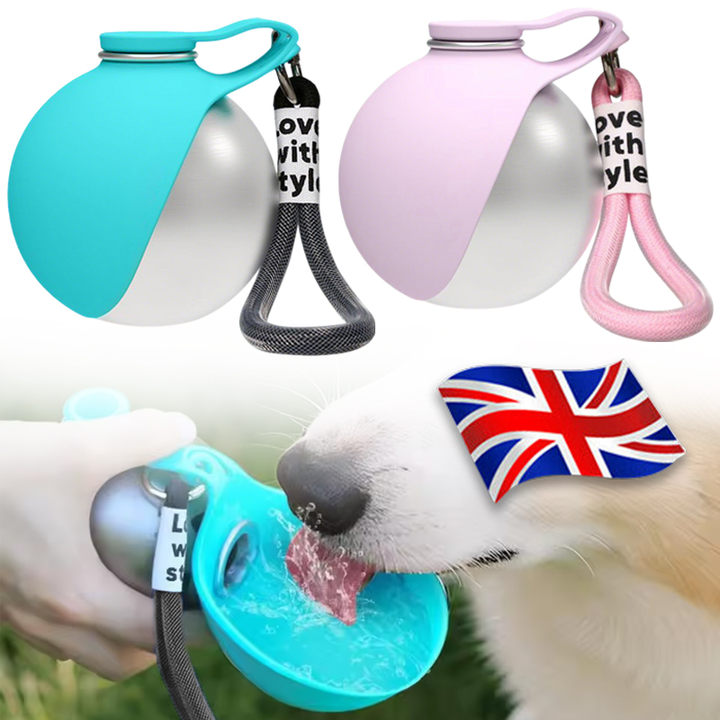 2-in-1 Portable Dog Water Bottle Stainless Steel With Foldable Silicone Bowl