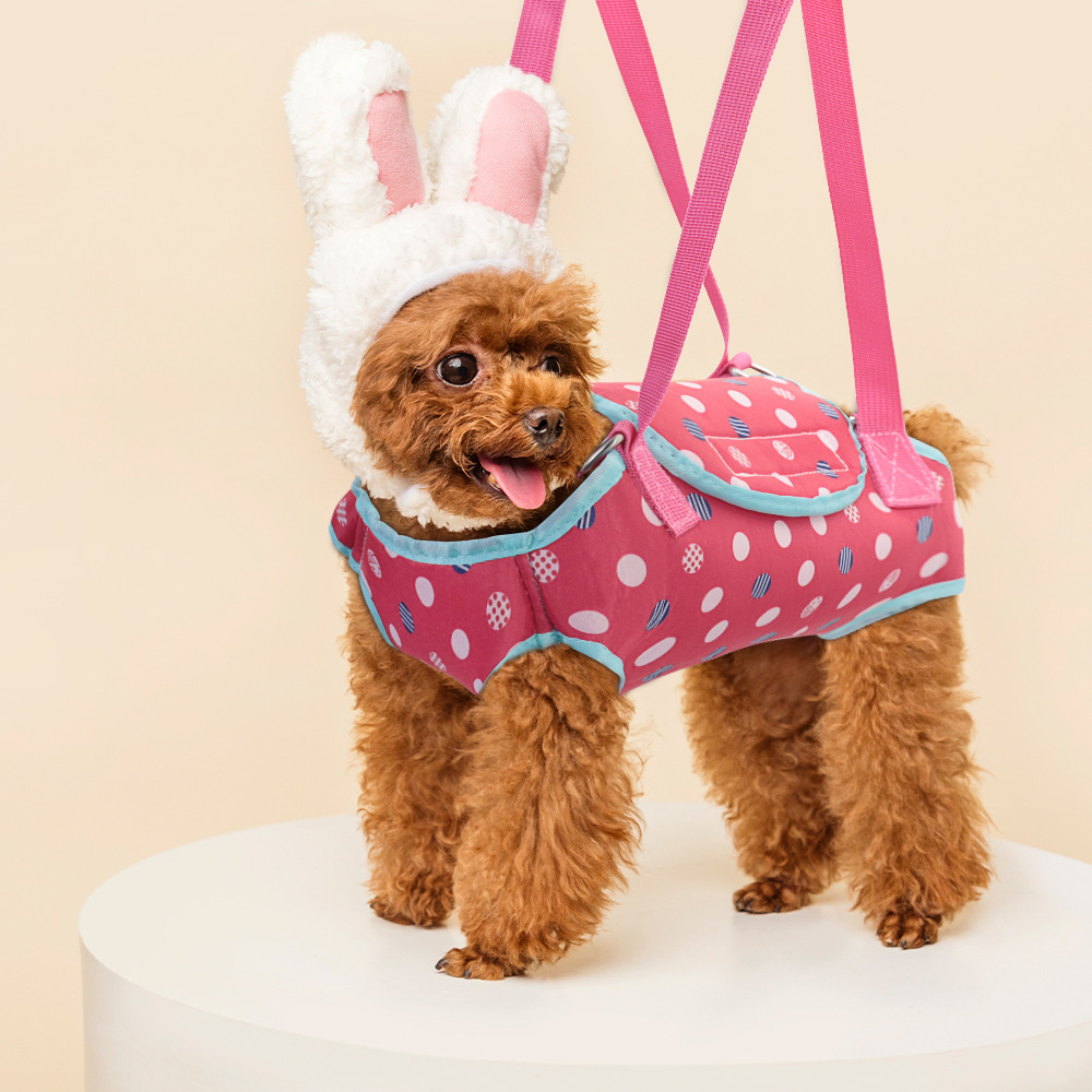 Small Single-shoulder Breathable Crossbody Dog Carrier For Pet Outings