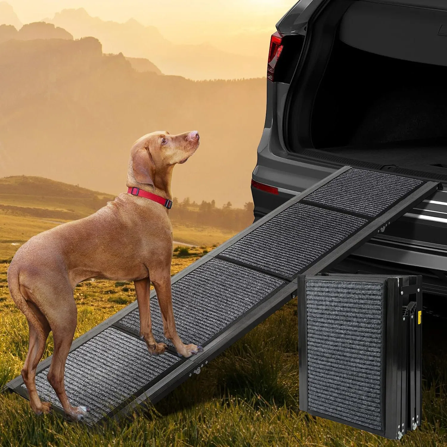 71" Long & 19" Wide Folding Dog Ramp for Car, SUV & Truck – Portable Pet Ramp with…