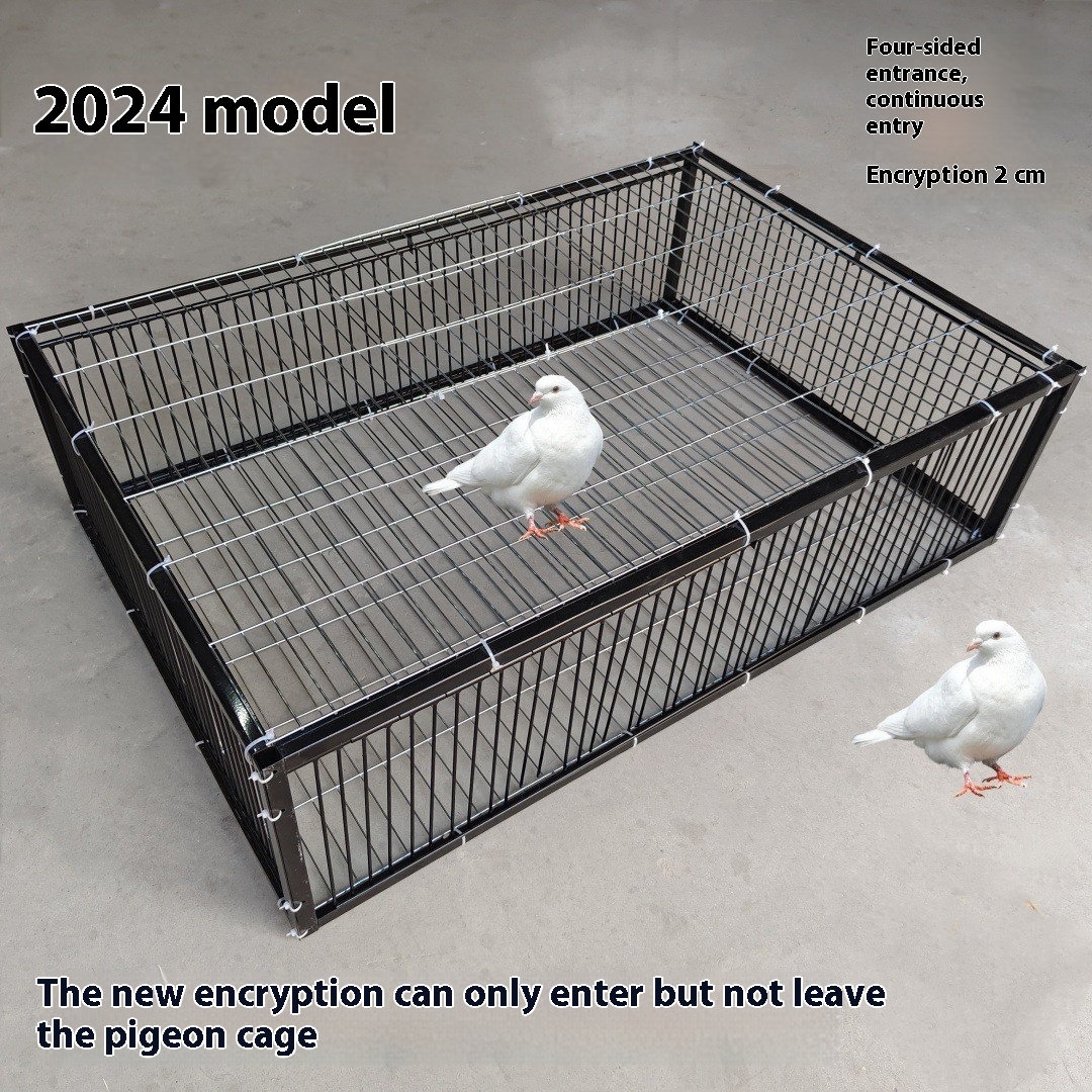 Outdoor Household Roof Only-in-no-out Pigoen Cage