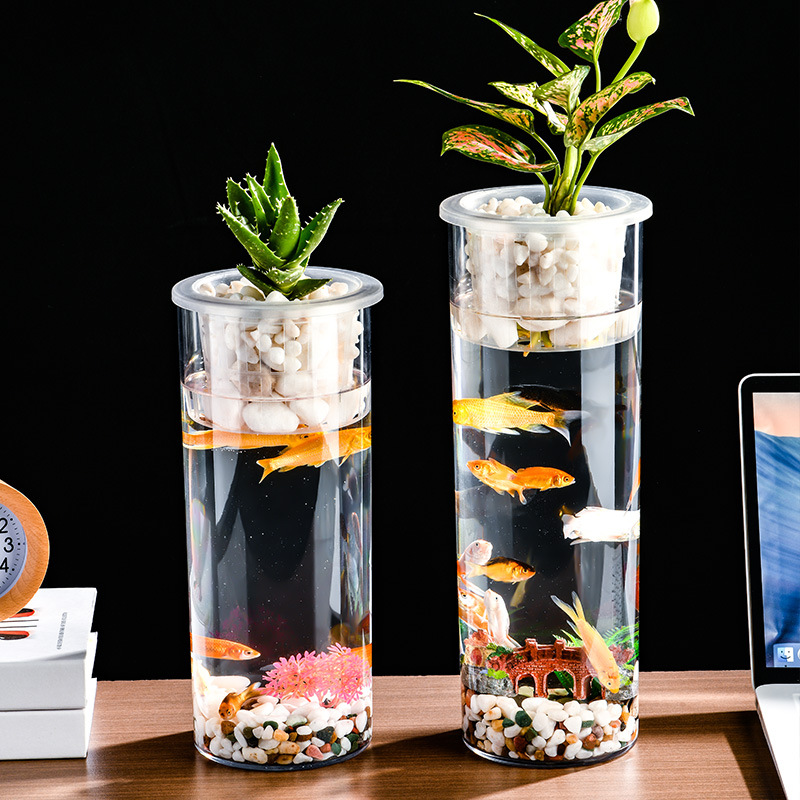 Living Room Micro Landscape Desktop Ecological Pot Transparent Plastic Creative…