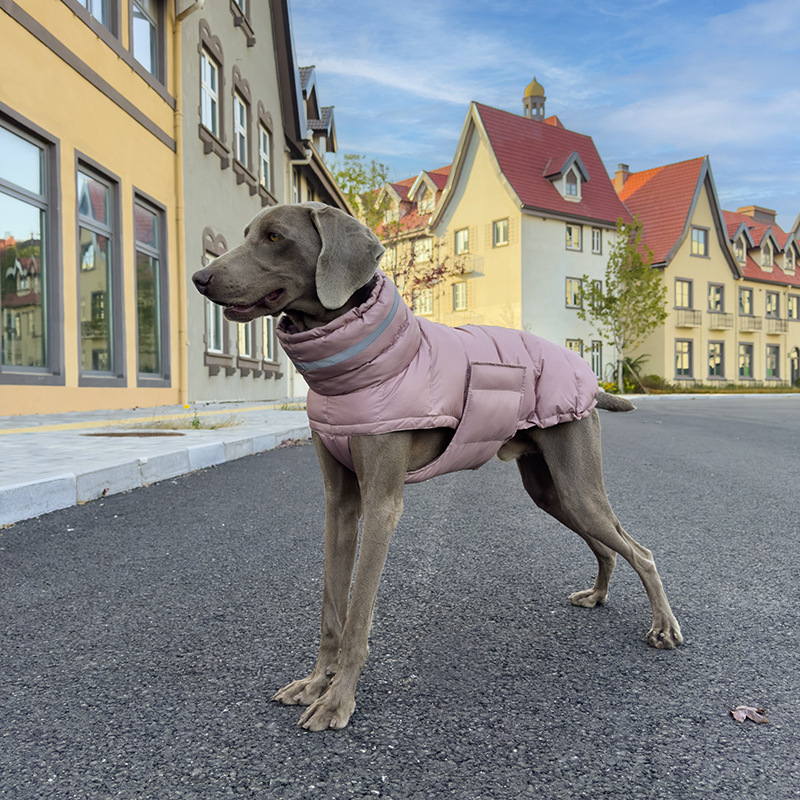 Winter Cotton Padded Pet Clothes