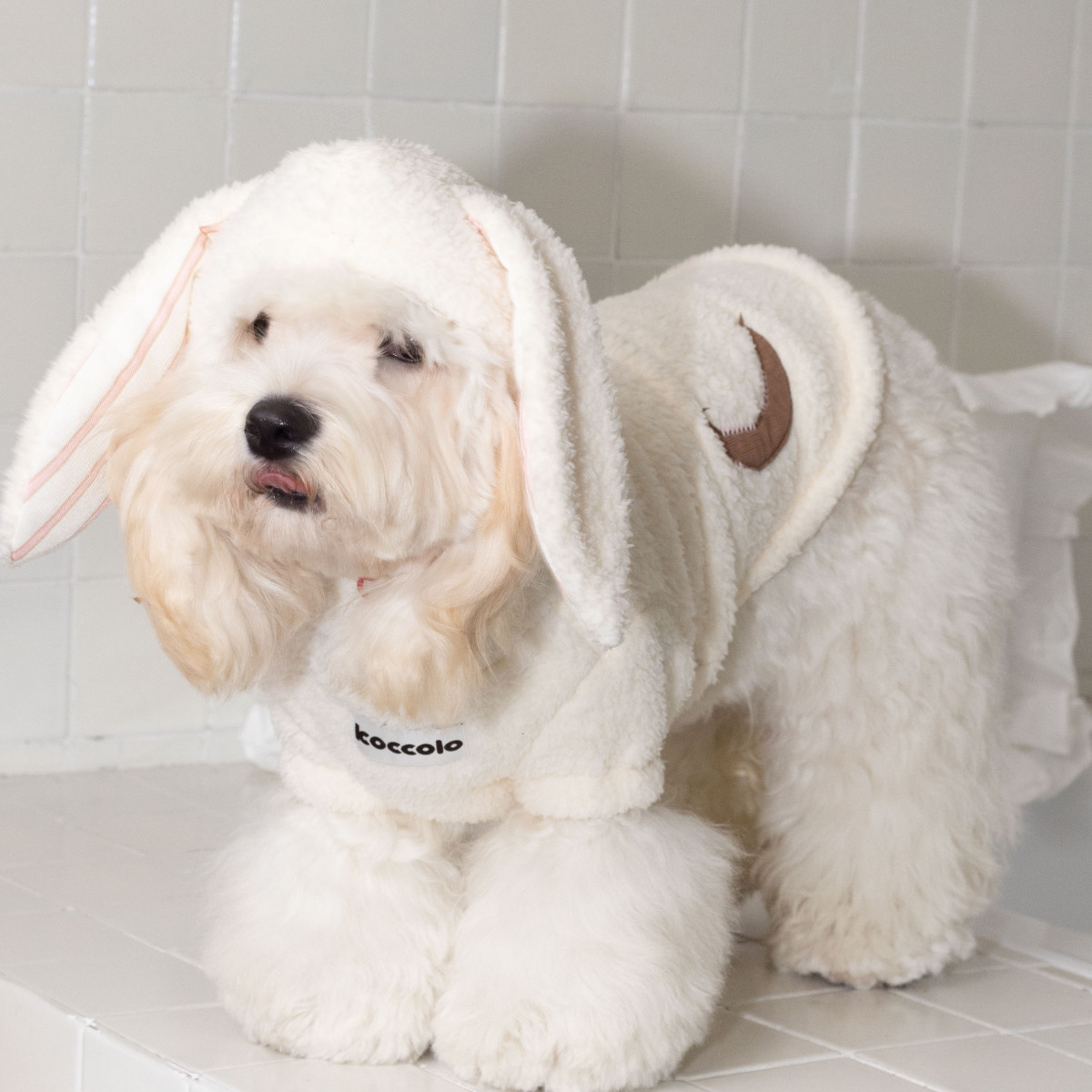 Plush Cozy Bunny Ear Pajamas Cute Dogcatdachshund Design