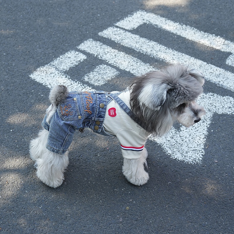 Pet's Four-Season Casual Denim Overalls With Vintage Embroidery
