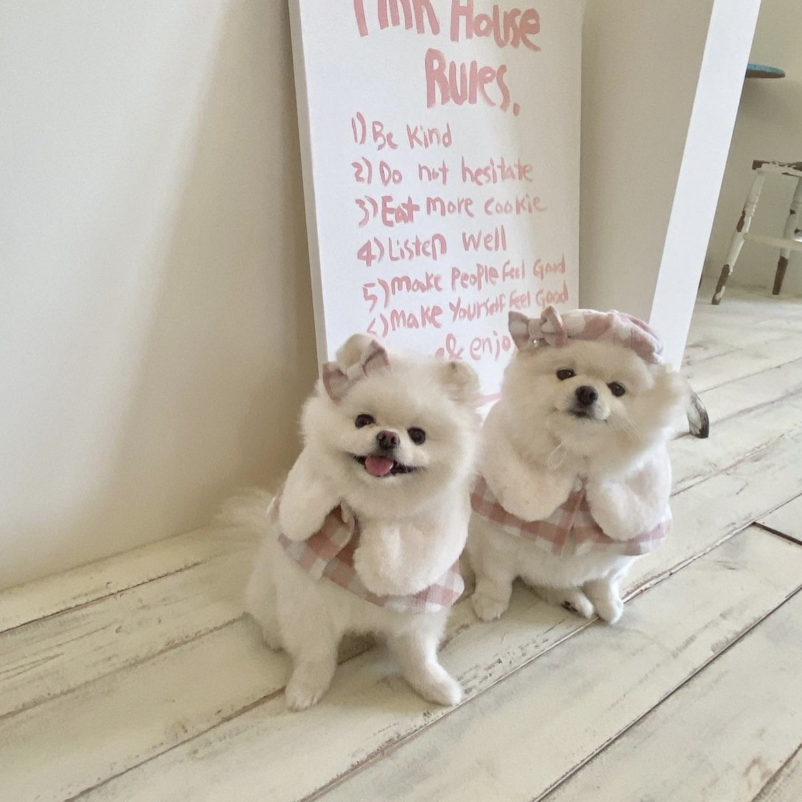 Korean Plaid Pet Cape Scarf And Hat Set