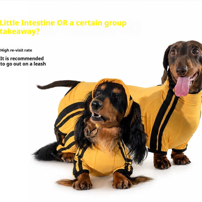 Dachshund Sun-protection Sporty Four-legged Outfit With A Hood