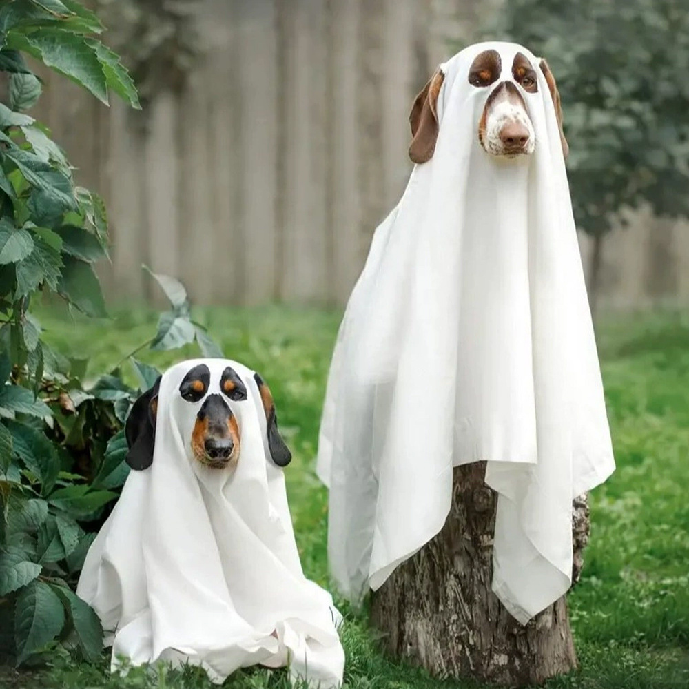 Halloween Ghost Costume Props and Decorations - Party Supplies for Holiday Festival Home…