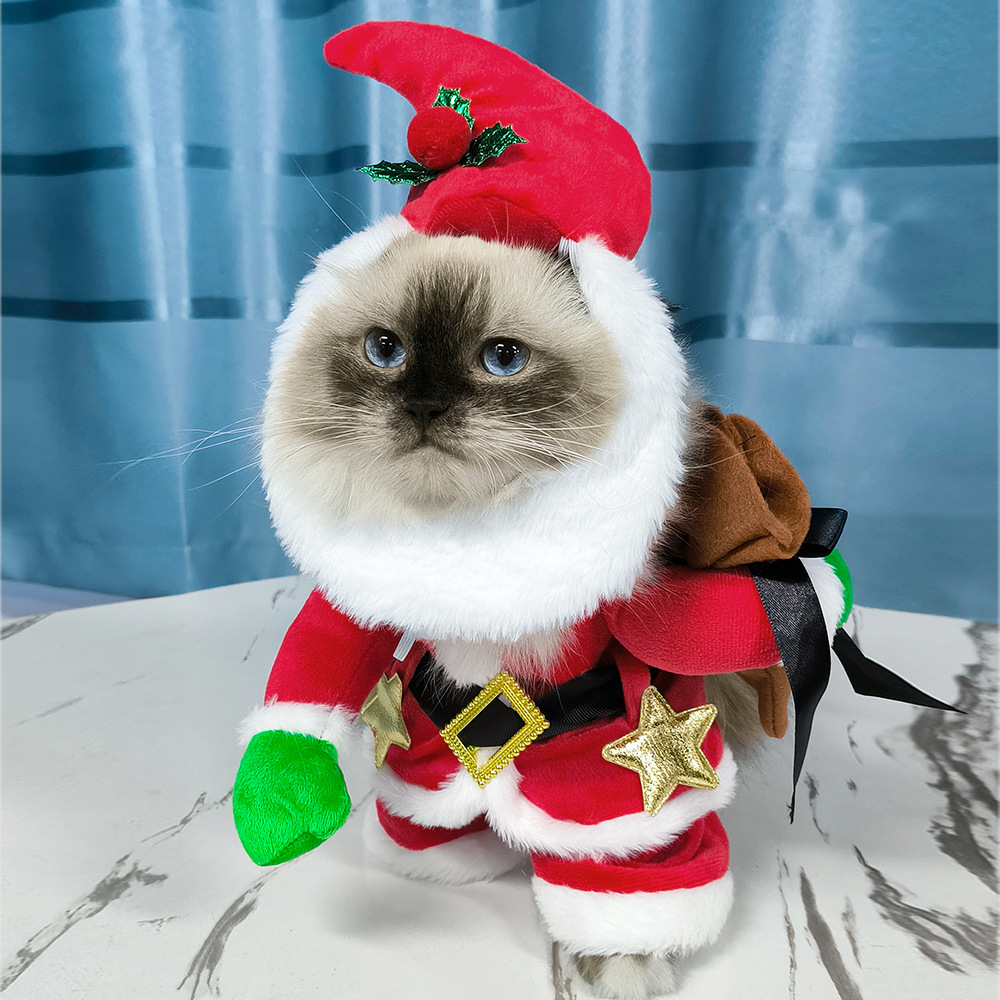 Santa Claus Costume For Cats And Dogs Pet Outfit
