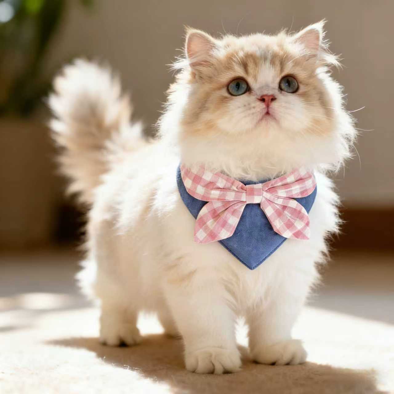 Pet Plaid Bib Bow Tie Collar Lace Bib Cotton Bib For Dogs