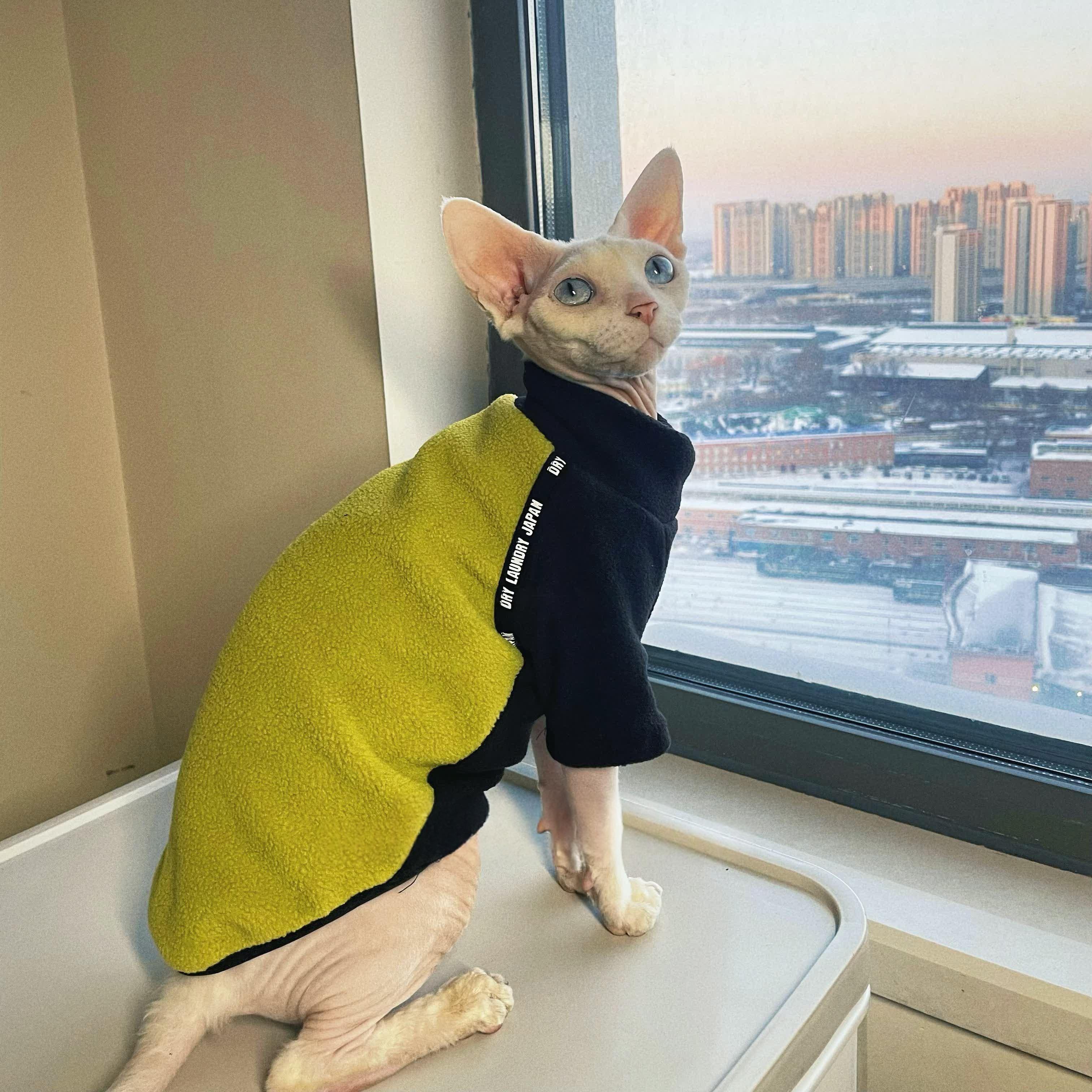 Thickened Polar Fleece Warm Long-sleeve Pet Clothing For Hairless Cats
