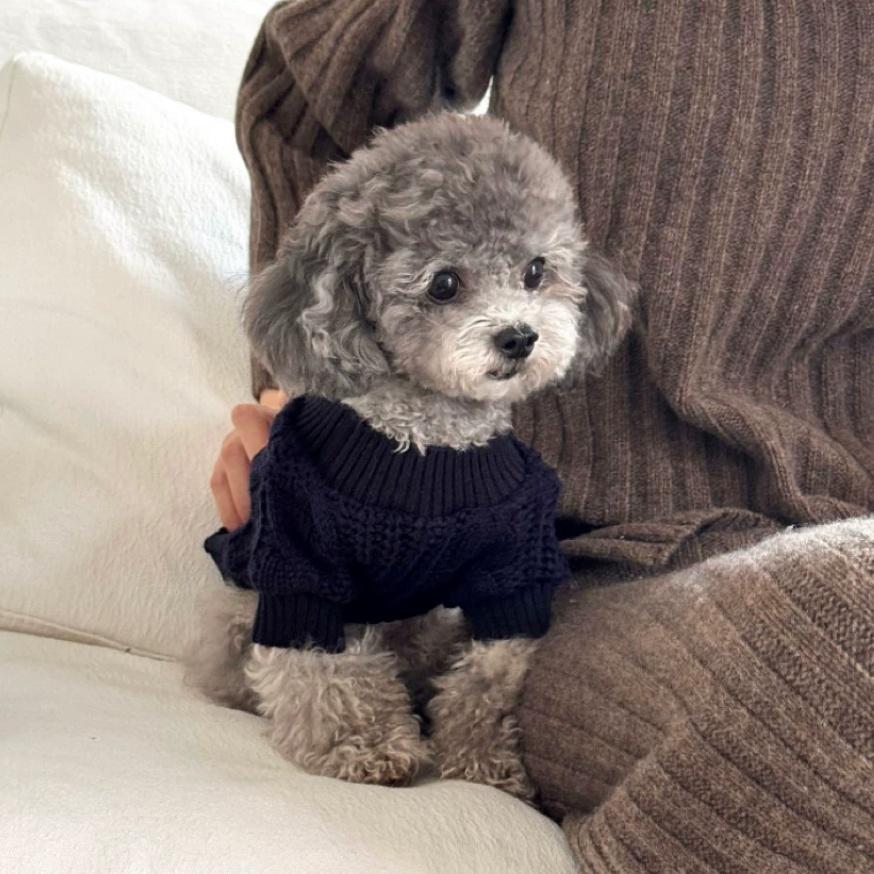 Autumn Winter Cozy Sweater Dog Clothing