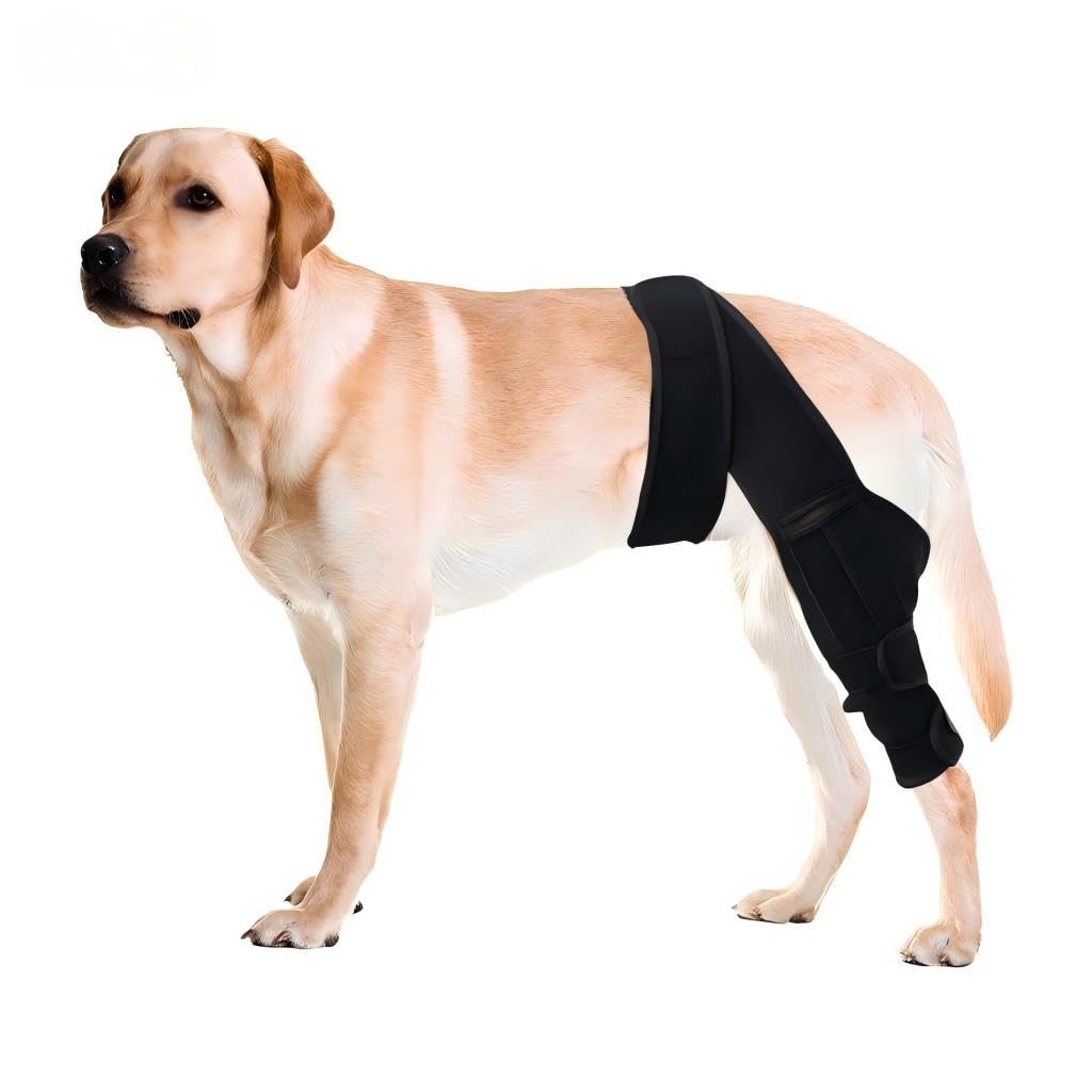 Dog Knee Brace For Torn ACL Hind Leg, Comfortable And Adjustable Support Brace With Two…