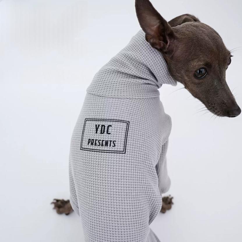 Italian Greyhound Whippet And Terrier Soft Base-Layer Four-Piece Outfit