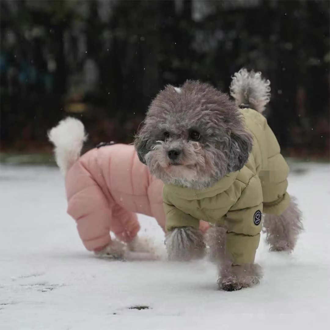 Small Dog Winter Clothing For Pets