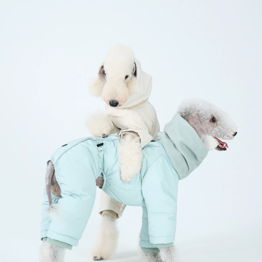 Winter Warm Down Jacket For Medium-sized Dogs Made With White Duck Down
