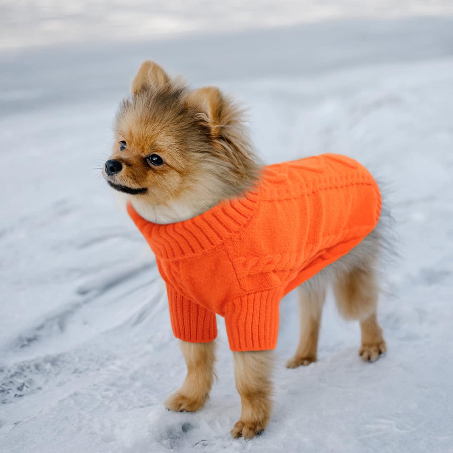 AutumnWinter Solid-Color Knitted Sweater Pet Apparel