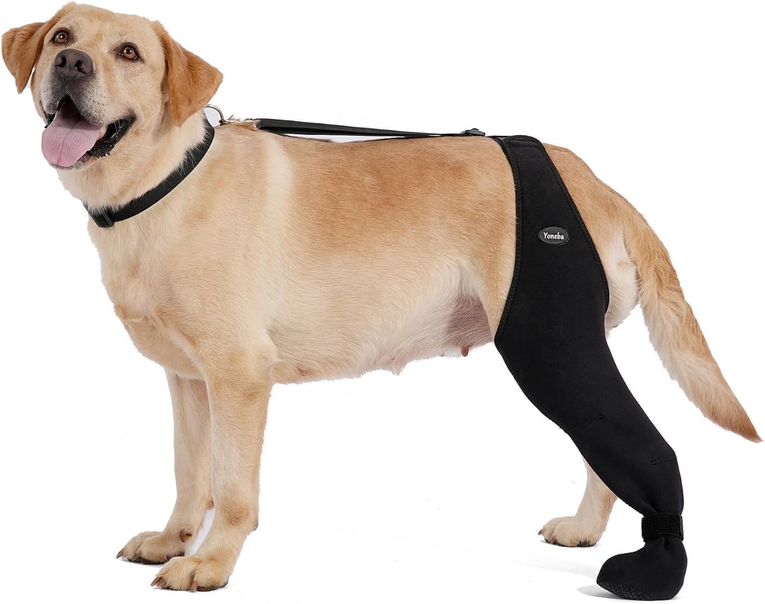 Dog Socks To Prevent Licking Paws , Breathable Leg Sleeve To Stop Licking And Biting…