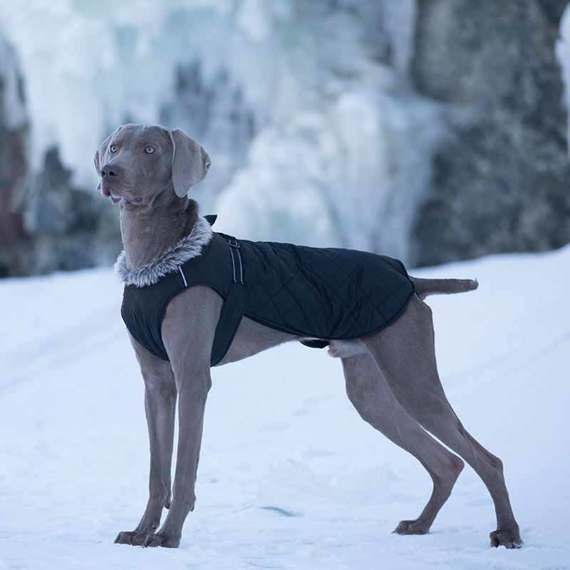 Pet Clothing Cotton Coats , Winter Heavy-duty Jackets For Large Dogs