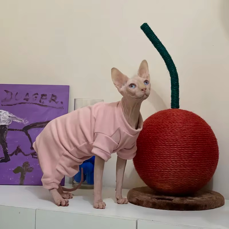 Sphynx Cat Four-legged Pajamas Soft Fleece Warm Jumpsuit Winter Clothing For Hairless…