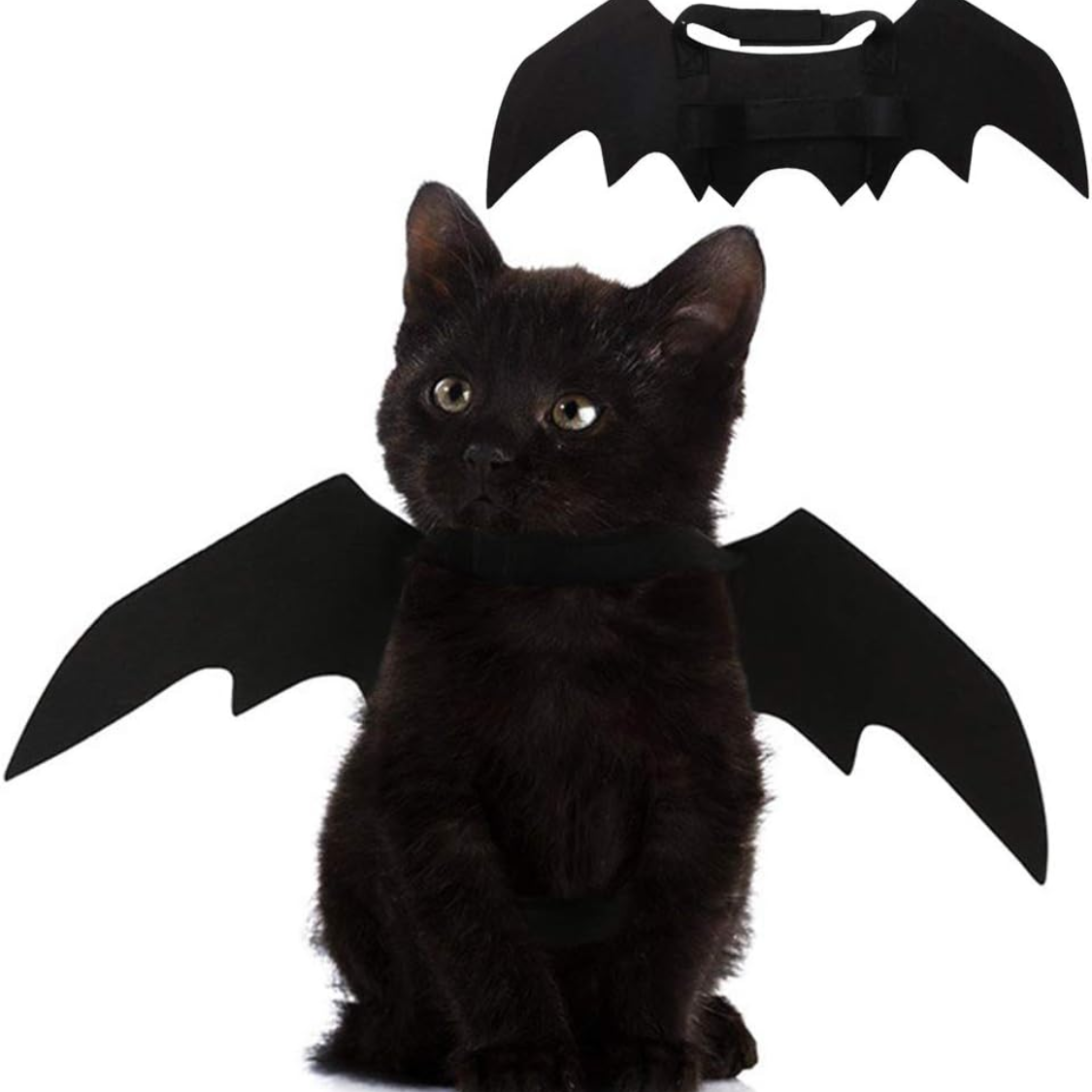 Pet Cat Bat Wings For Halloween Party Decoration, Puppy Collar Leads Cosplay Bat…