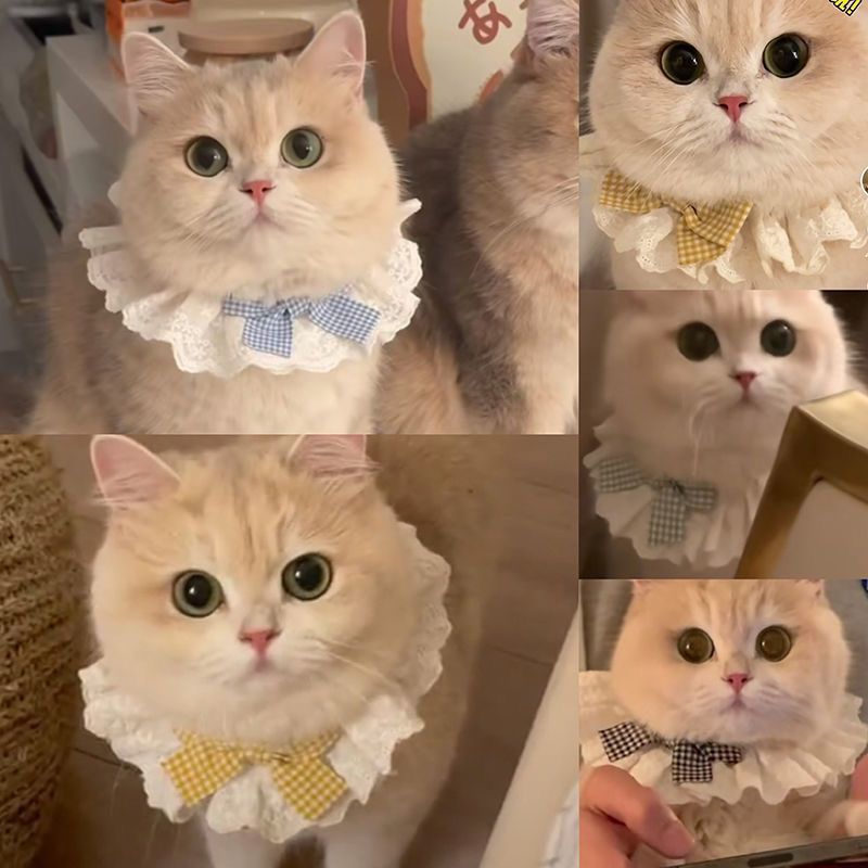 Cat Pure Cotton Lace Bib Saliva Pet Bow Cute Scarf Decorative Bib Dog Bib Accessories