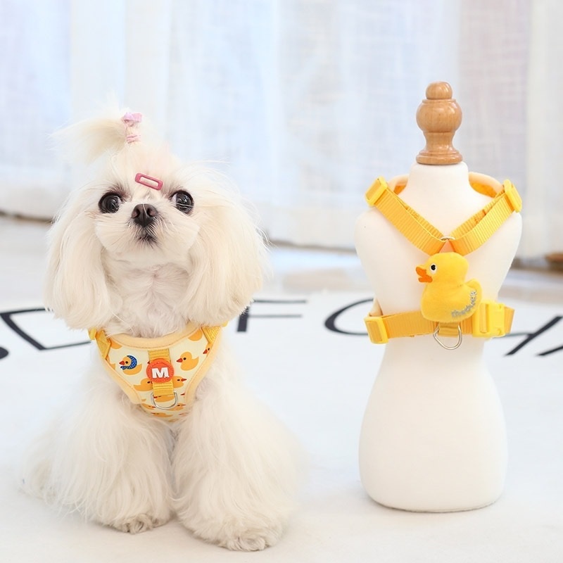 Essential Cat Supplies Cute Cartoon Leash Pet Accessories