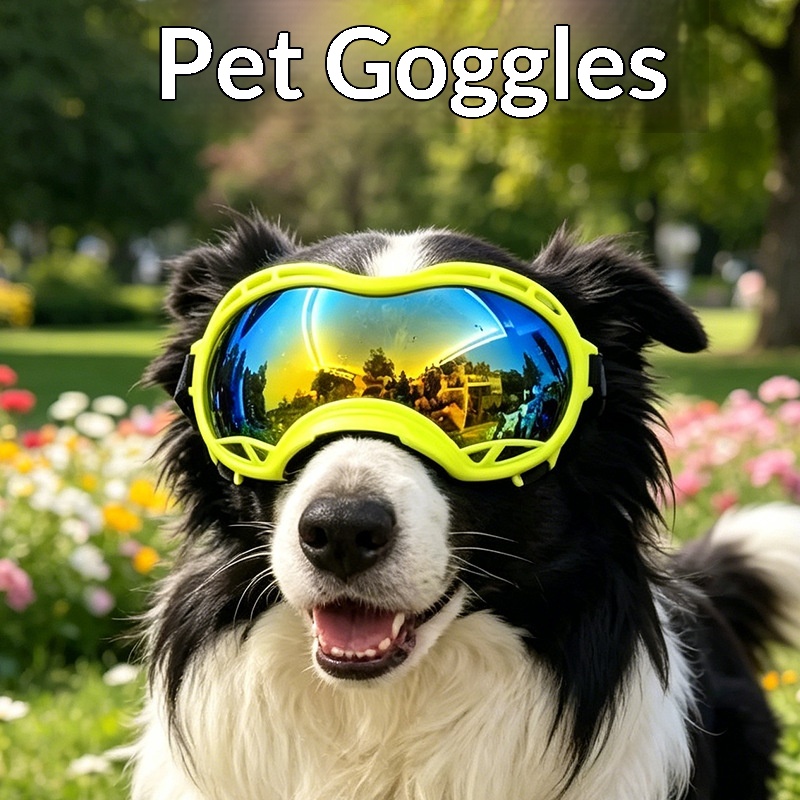 Pet Supplies Large Dog Goggles