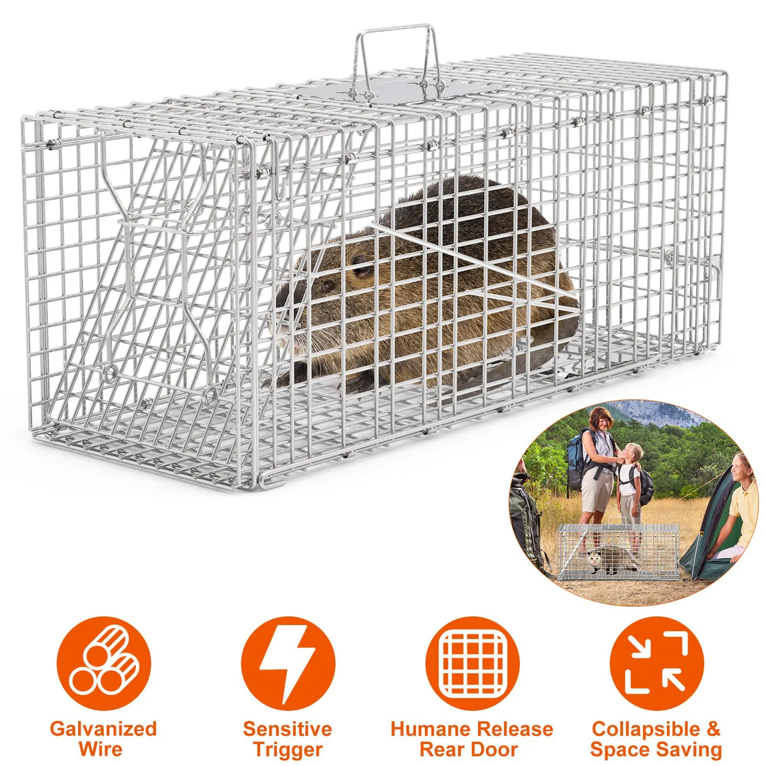 Humane Animal Trap Cage (30.51x11.02x11.81in) - Galvanized Sturdy Wire Mesh, Sensitive…