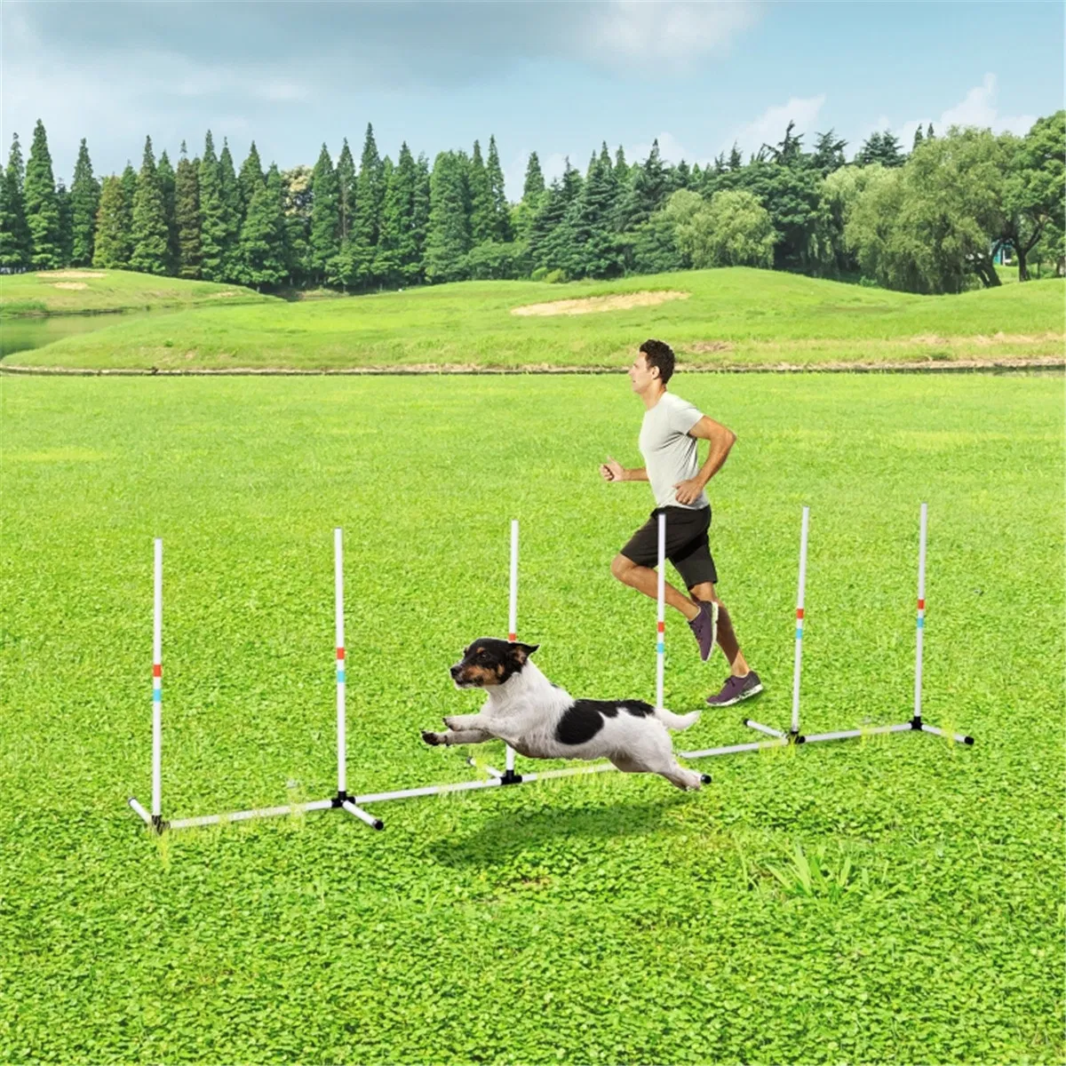 Dog Outdoor Exercise Training Set ( Shipping)(Prohibited by WalMart)