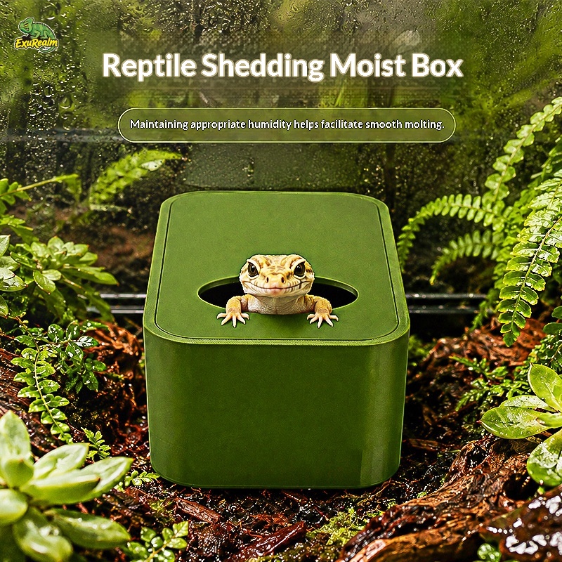 Reptile Wetland Excavation Box