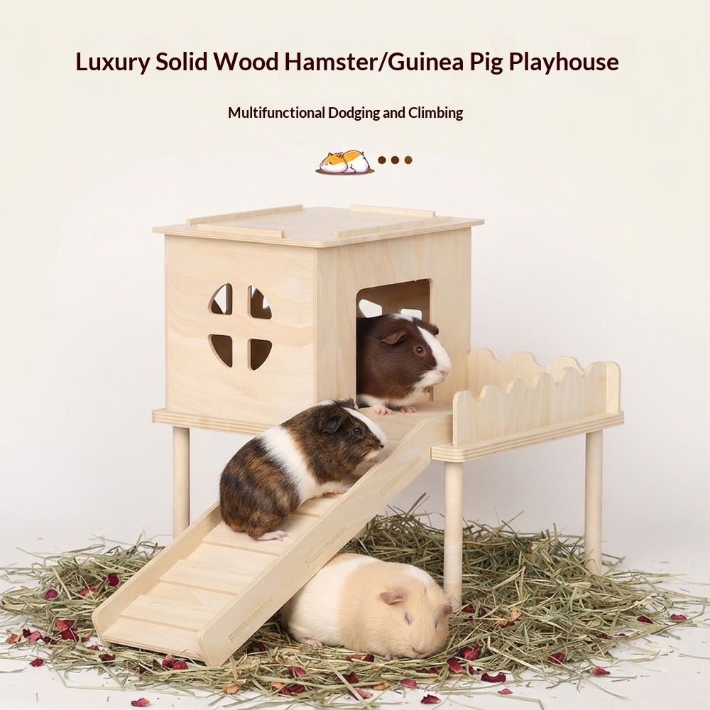 Multi-Level Pet Space With Ladder And Hideout House