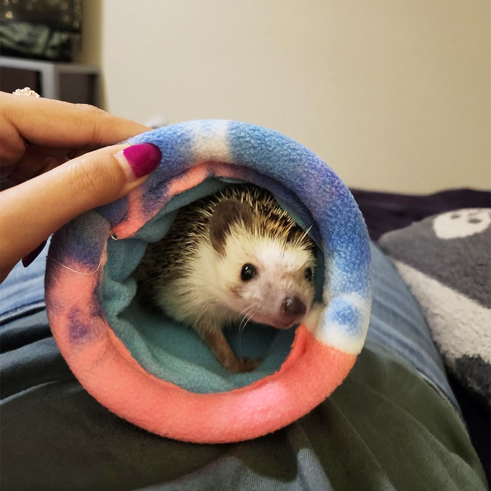 Hamster Sleeping Bag Thickened Warm Pet Bed
