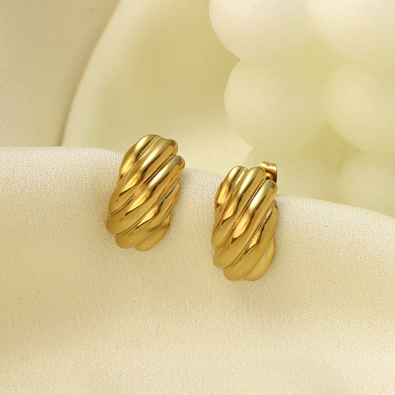 Simple And Versatile Ladies' 316 Stainless Steel Earrings