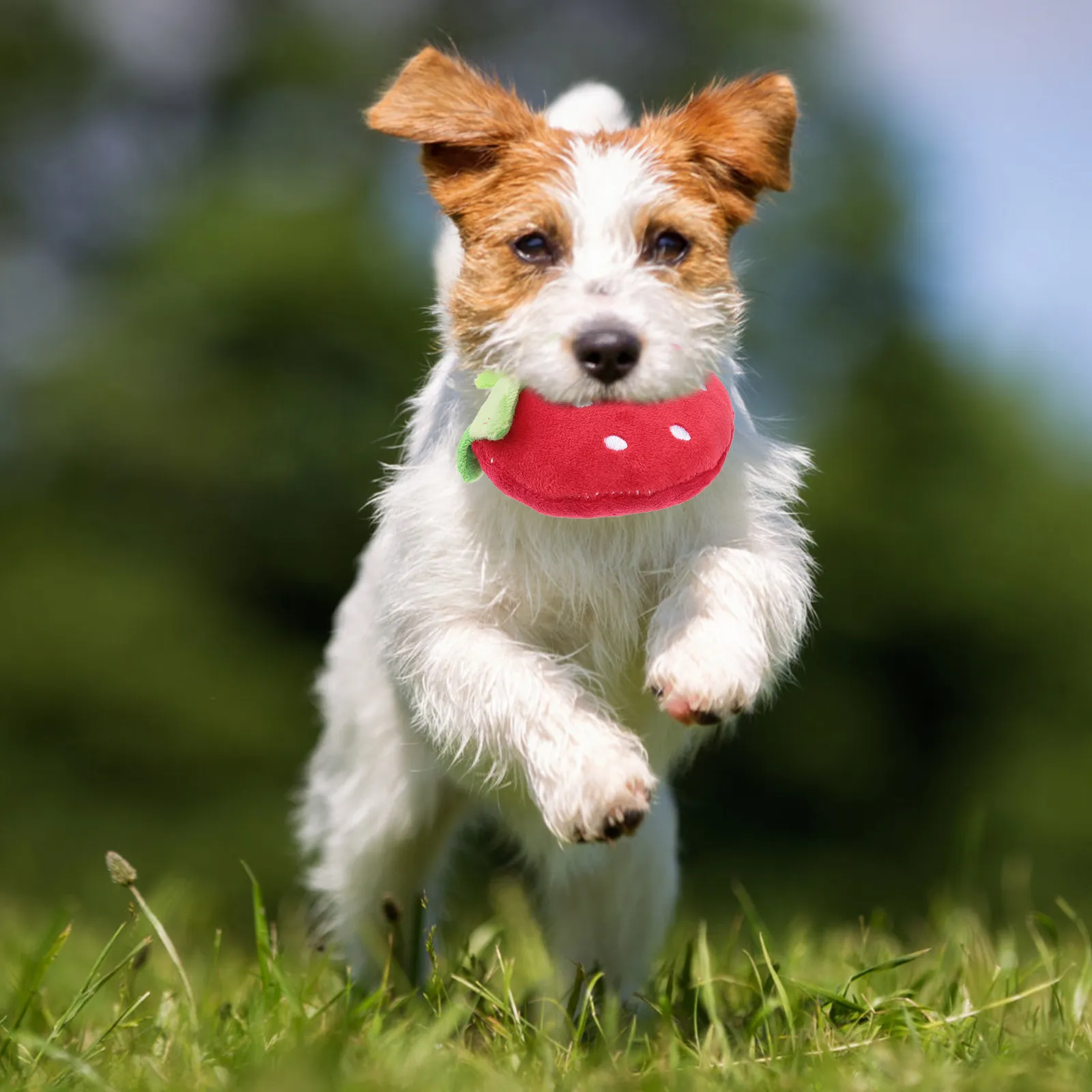 2Pcs Strawberry Squeaky Pet Chew Plaything Red Pink Soft Fruit Shape Dog Cat Sound Entertainment Pet Dog Chew photo 2