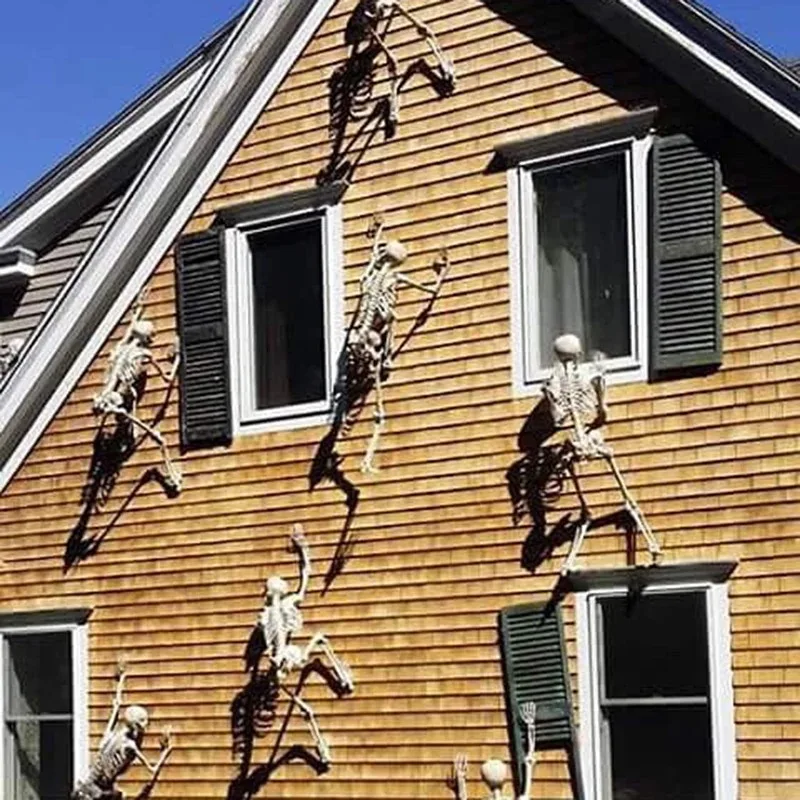 40cm Human Shape Bones Posable Skeleton,Haunted House Horror Props,Halloween Skull Skeleton Party Home Decorations DIY Supplies photo 5