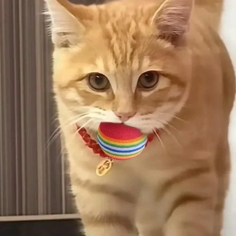 100/10PCS Pet Toy Balls Interactive Rainbow EVA Balls Cat Dog Training Toys Soft Automatic Jumping Balls Pet Playing Supplies photo 3