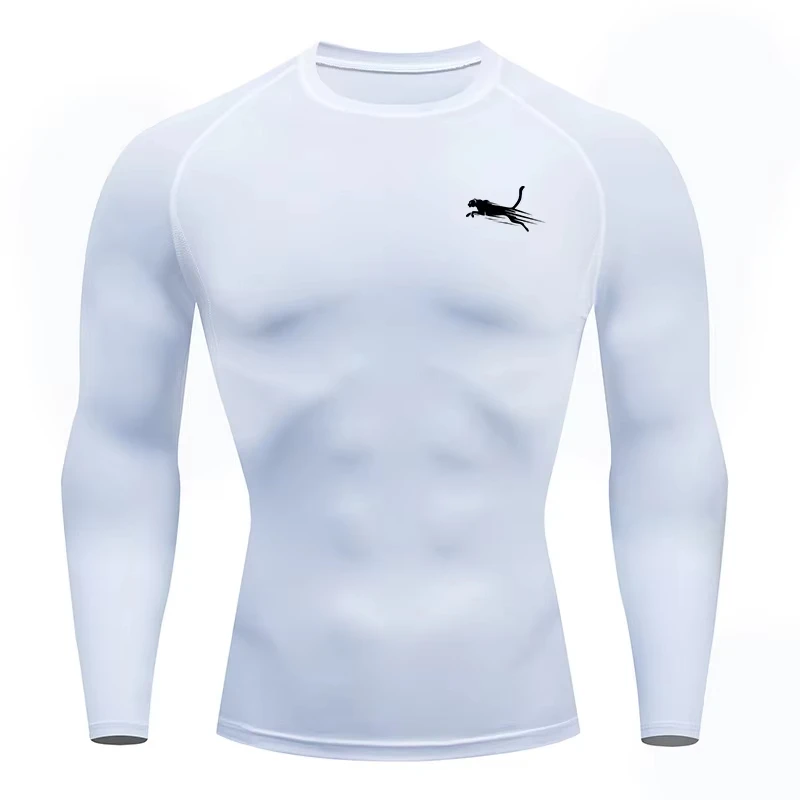 Men's Long Sleeves Fitness T-shirt Dry Fit Gym T-shirt Sportswear Outdoor Sports Running Tees Tops For Men photo 2