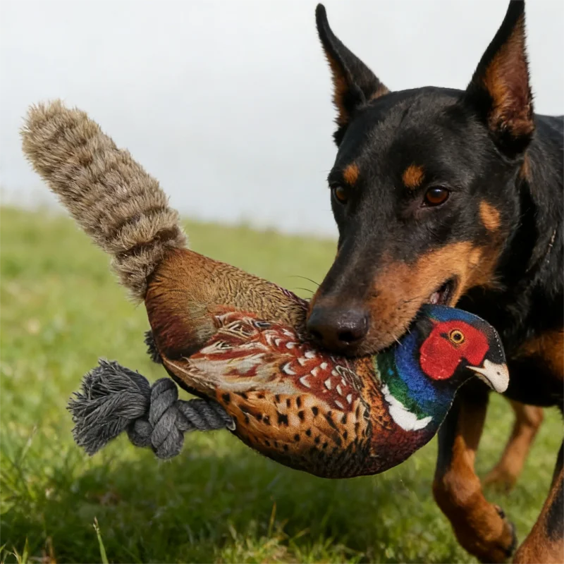 Ring-necked Pheasant Chickens And Ducks Pet Toy Dog Toy With Squeak Plush Toy Cat Dog Chewing Toy Teeth Grinding Pet Supplies photo 3