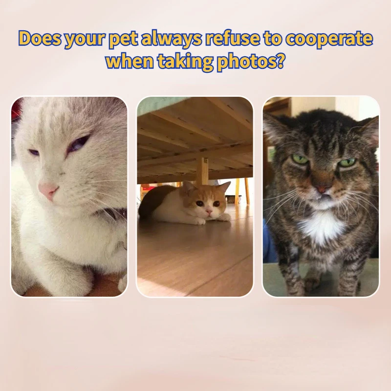 Pets Selfie Stick Selfie Artifact Dogs Cats Toys Look At The Camera Phone Clip Take Pictures of Pet Dog Cat Supplies Accessories photo 2