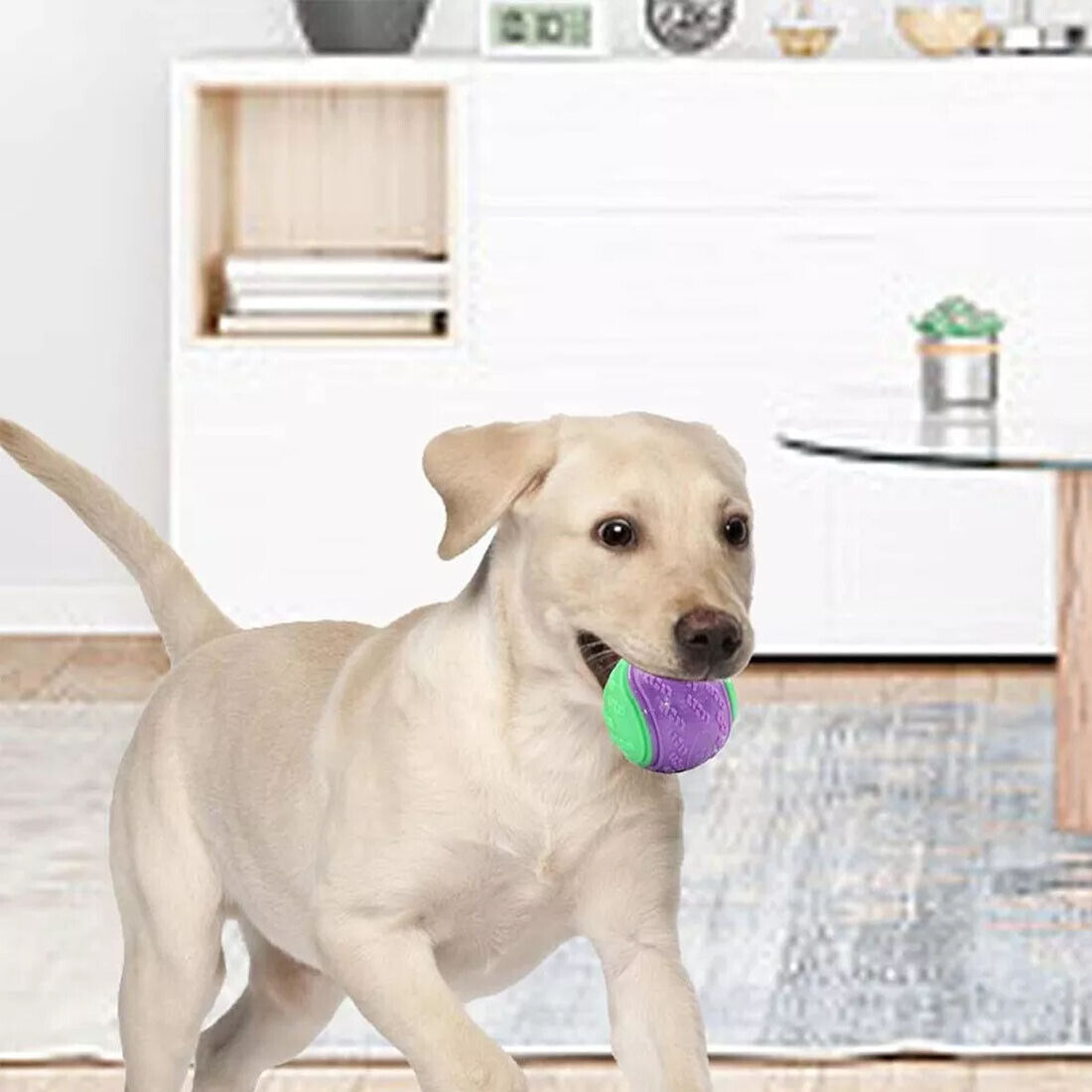 NEW Scooby-Doo Durable Squeaky Set Of 8 Dog Balls For Teeth Cleaning Interactive UK photo 2