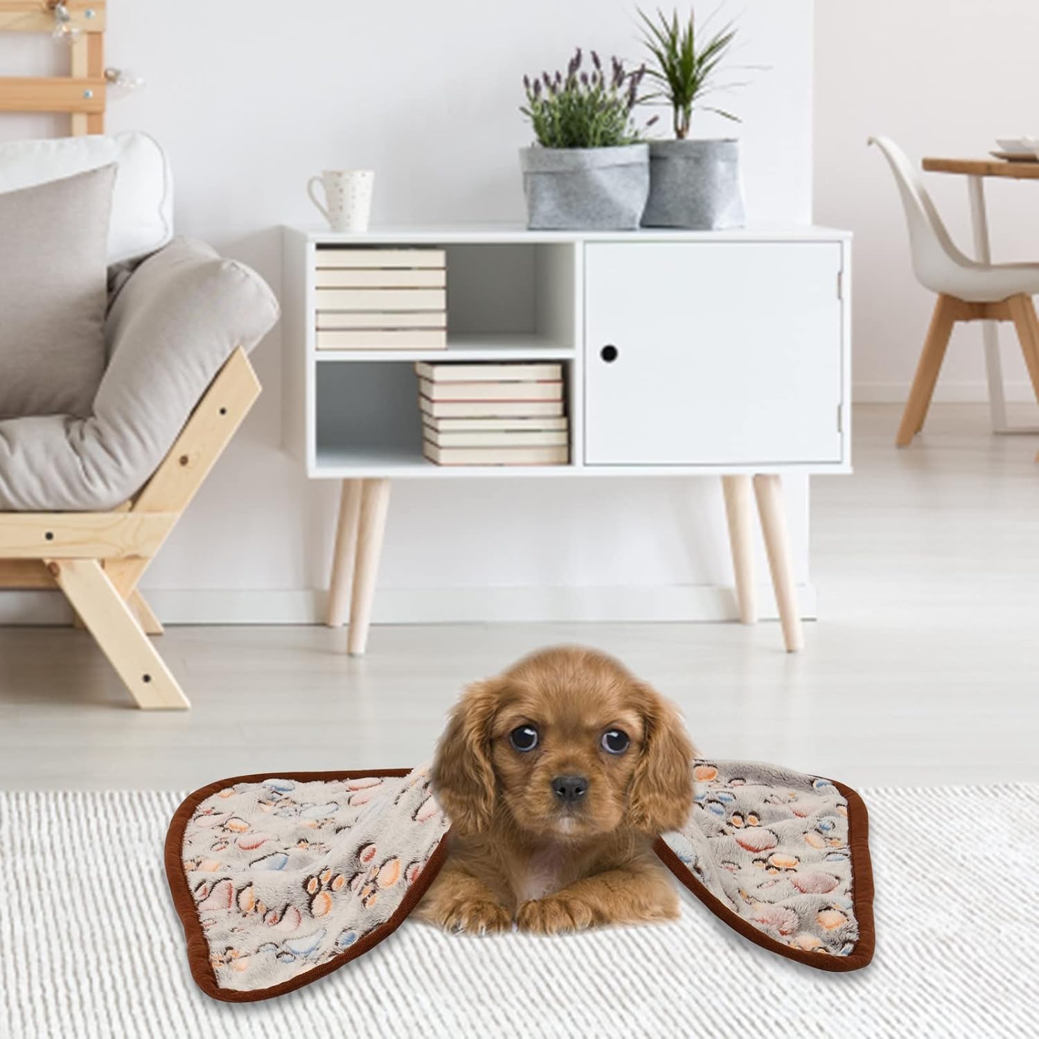 3 Pack Pet Blanket, Soft Plush Paw Print Dog Blanket Washable, Warm Fleece Cat Blanket For Large Medium Dogs, Sofa Couch Bed Cage Protector,23 X 16 In,30 X 20 In,41 X 31 In,47.2 X 39.3 In photo 5